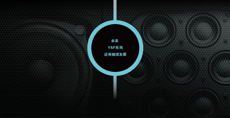 YSP系列发展史