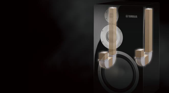 AG环亚集团Hi-End书架音箱NS-5000旗舰品质、高保真享受
